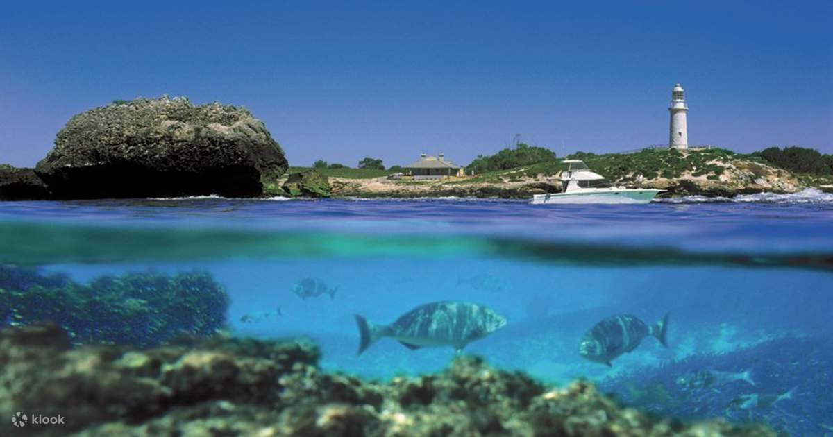 discover-rottnest-island-ferry-and-bus-tour-from-perth-or-fremantle-klook